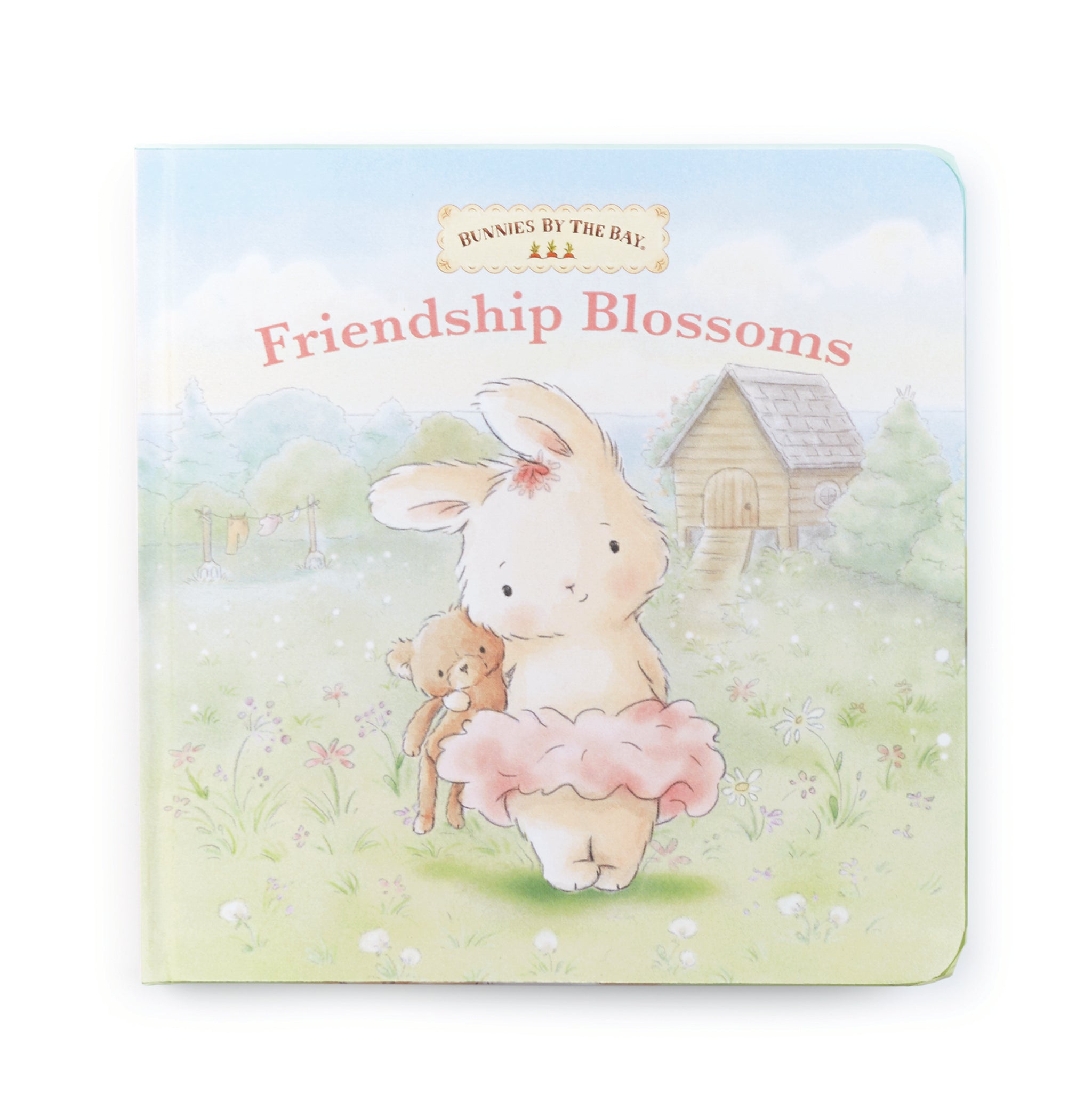 Baby Board Book