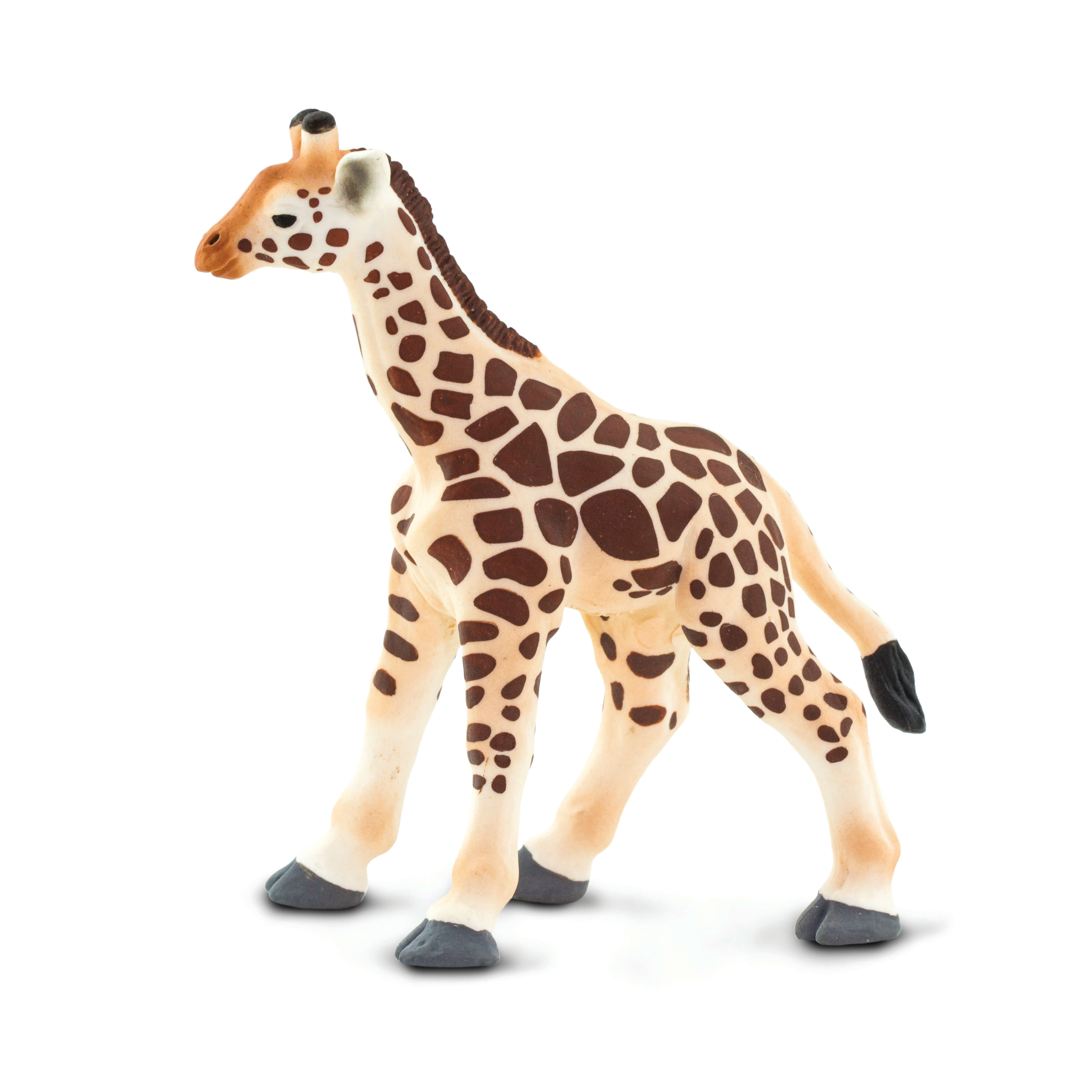 Giraffe Baby