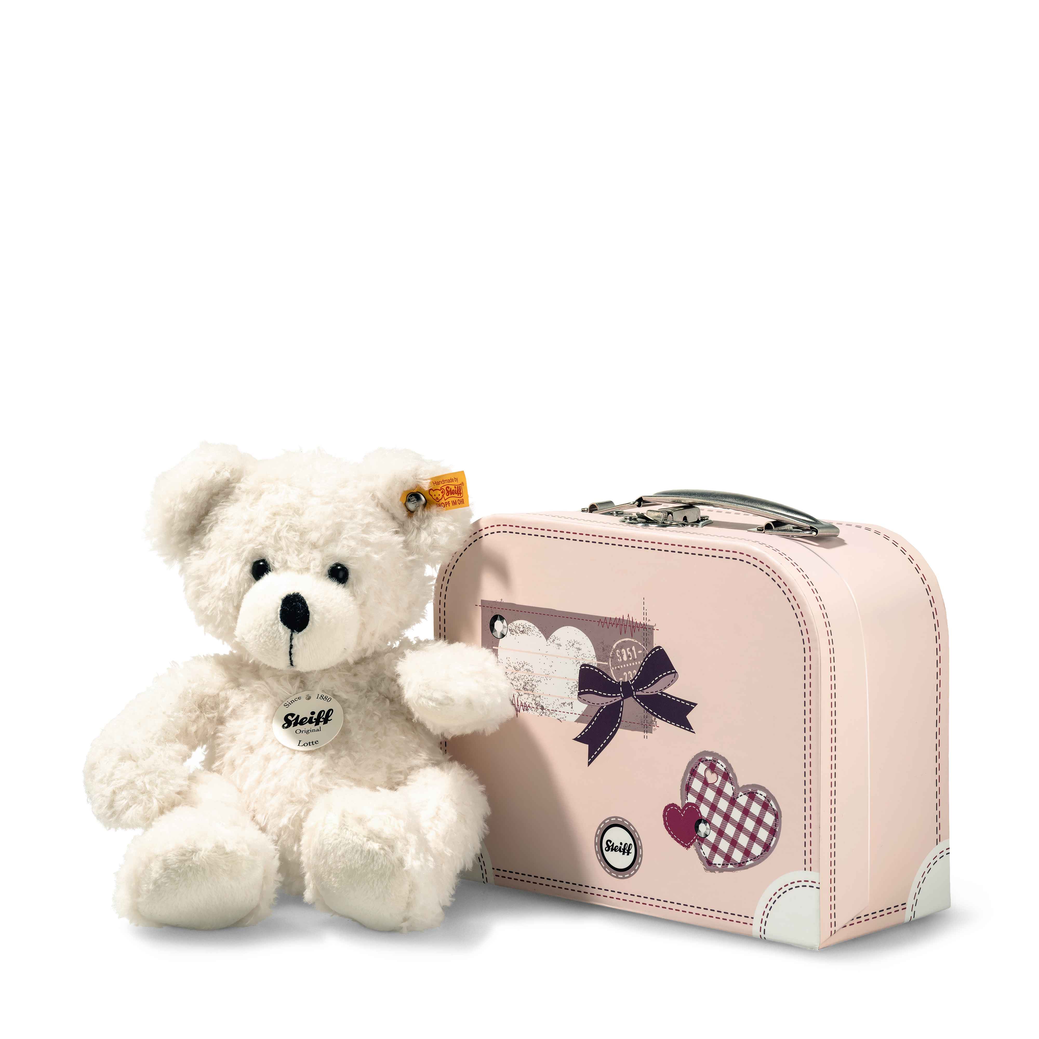 Teddy Bear in Suitcase