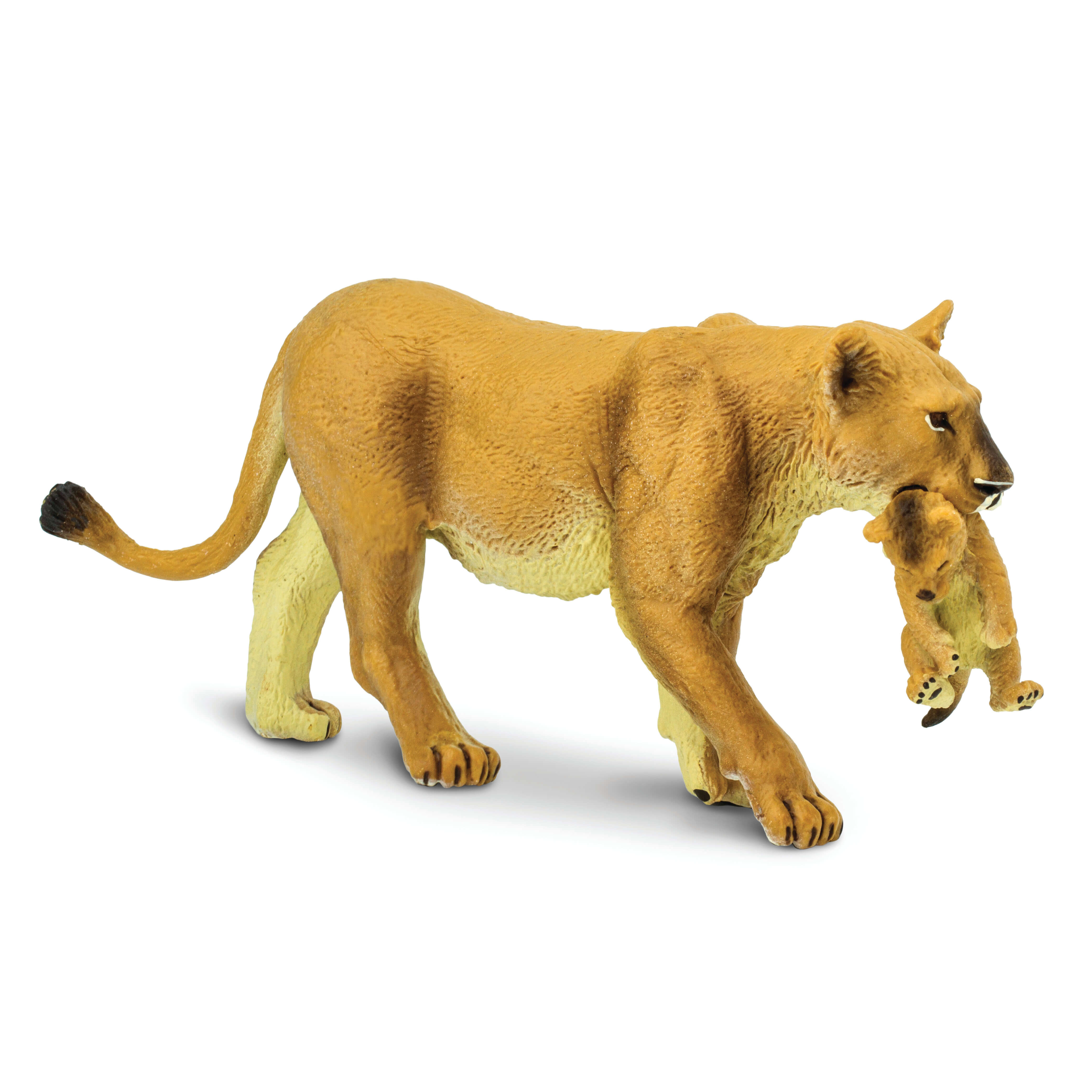 Lioness With Cub
