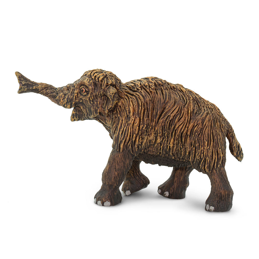 Wooly Mammoth Baby