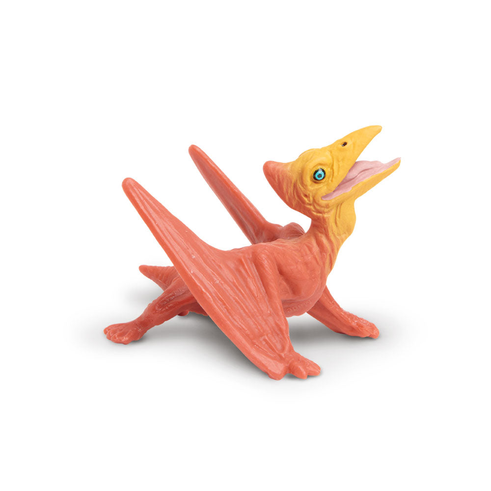 Pteranodon Baby
