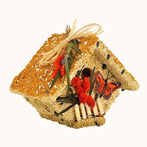 All Season Wren Casita Wild Bird Seed Birdhouse