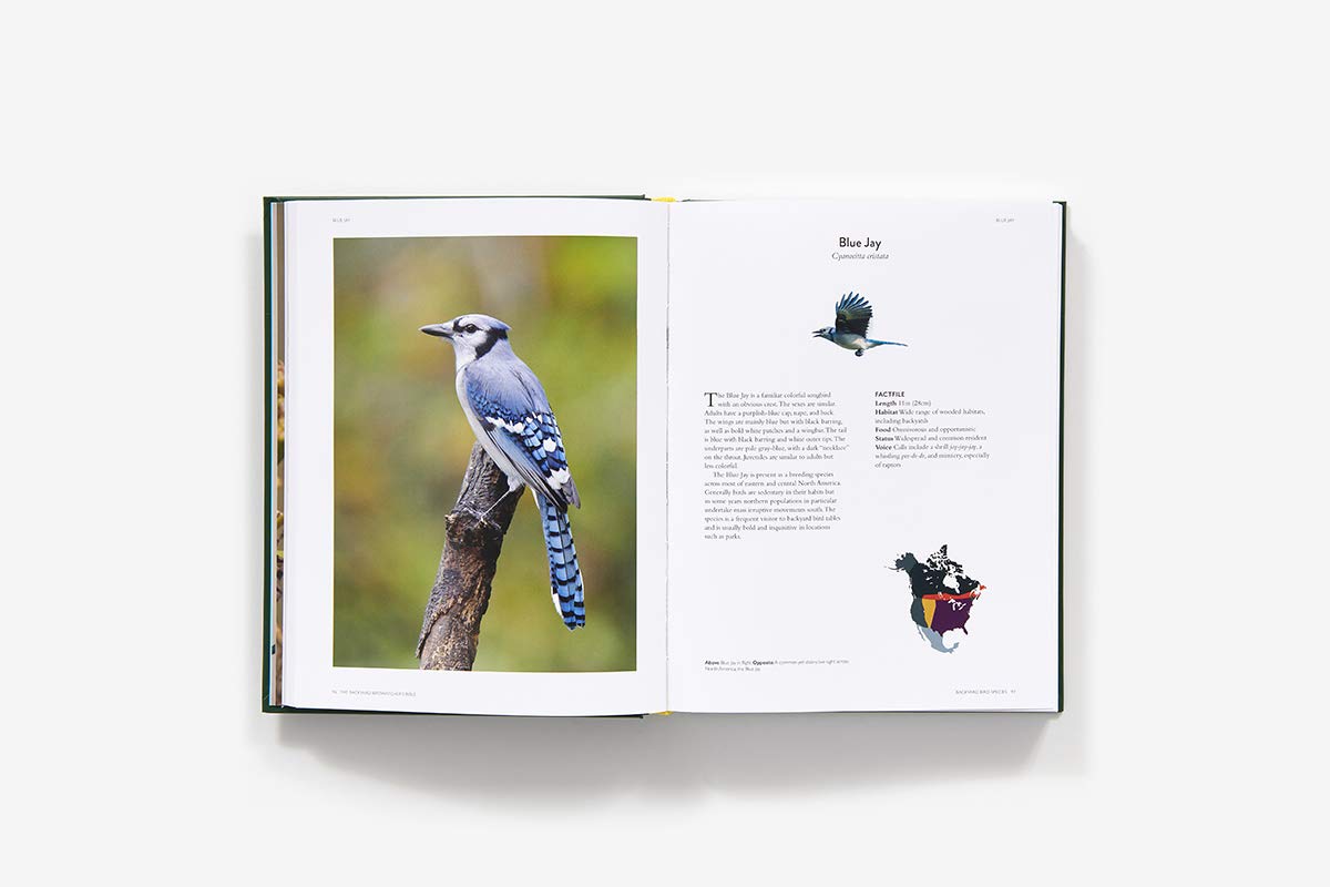 The Backyard Birdwatcher's Bible