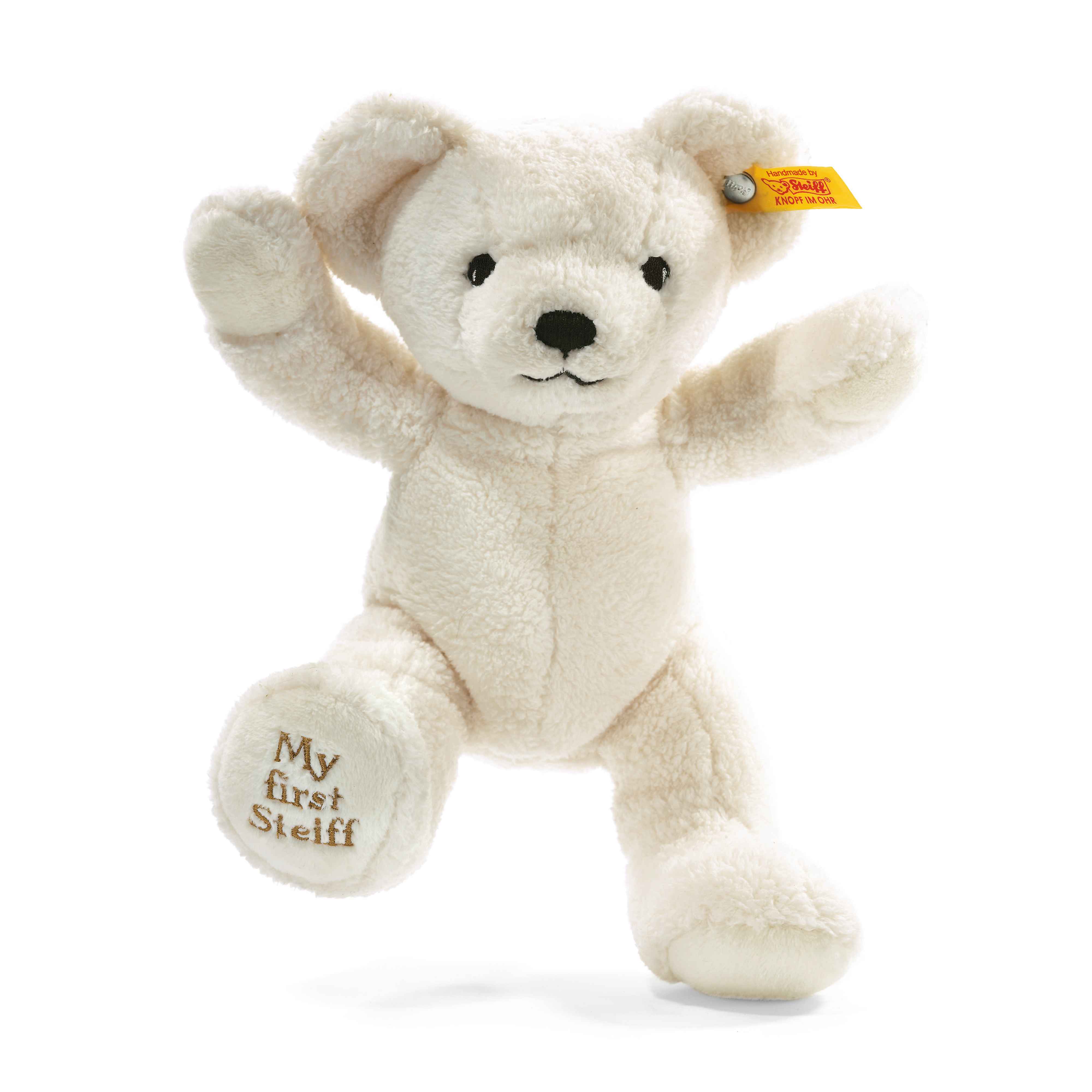 My 1st Teddy Bear