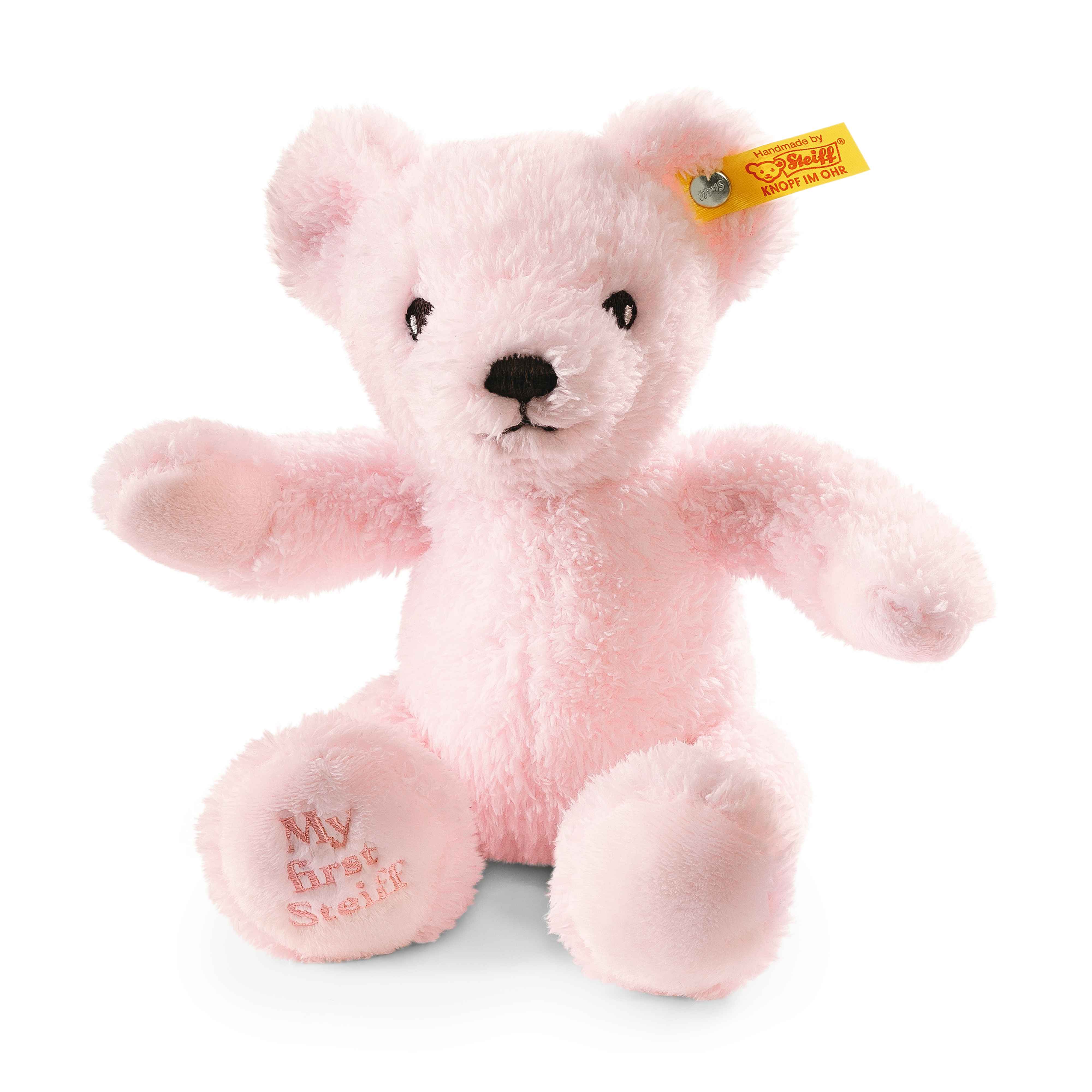 My 1st Teddy Bear