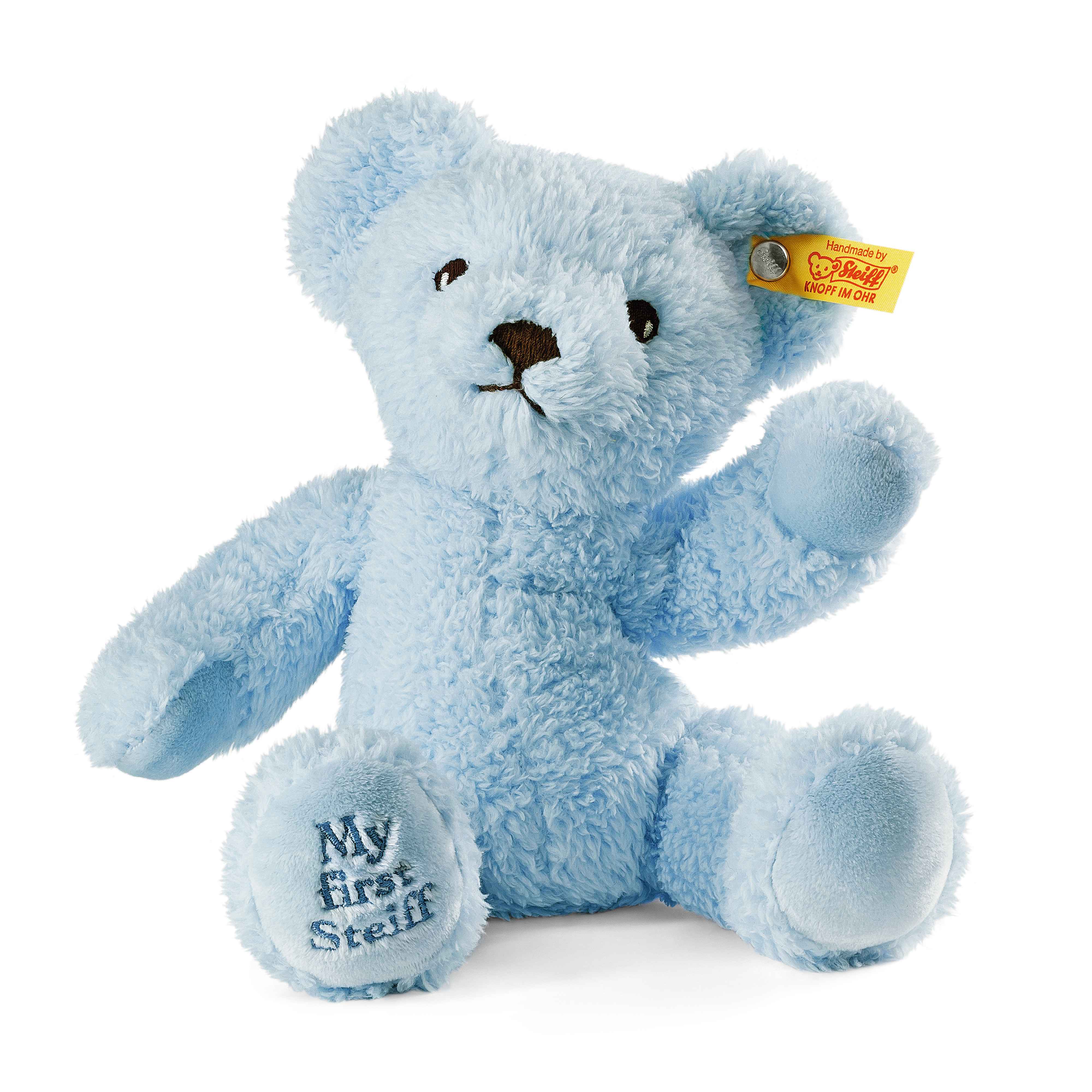 My 1st Teddy Bear