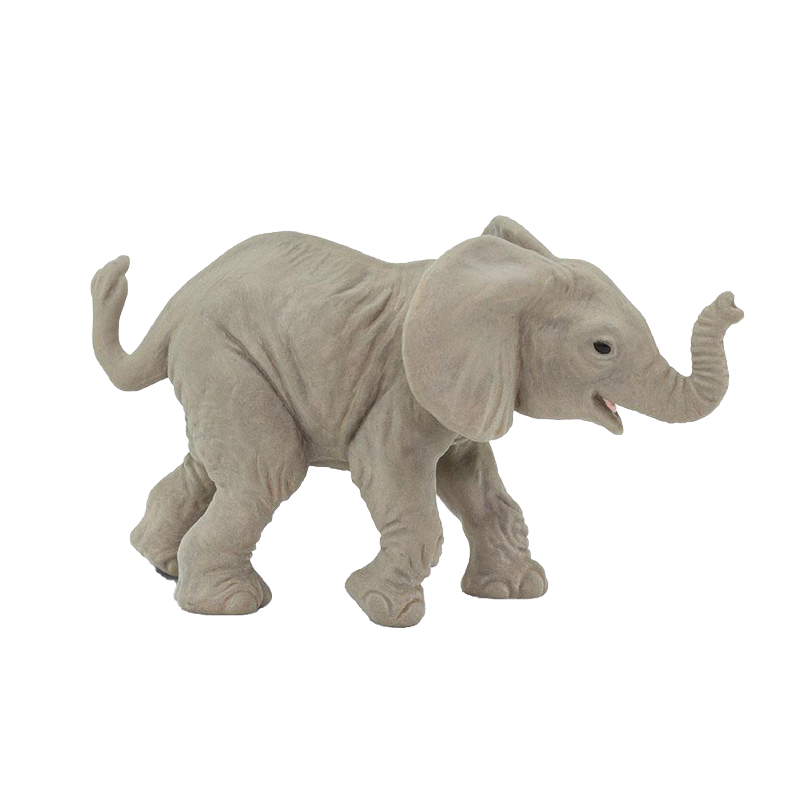 African Baby Elephant