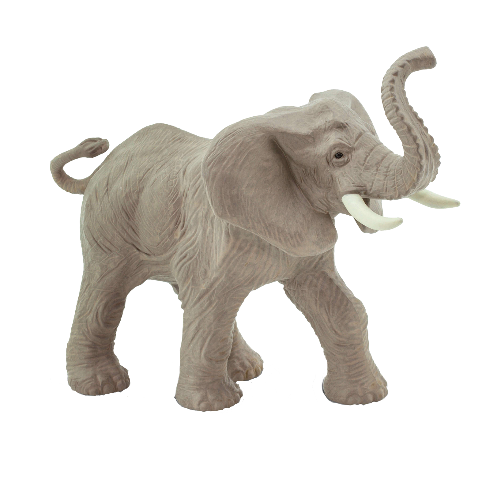 African Elephant