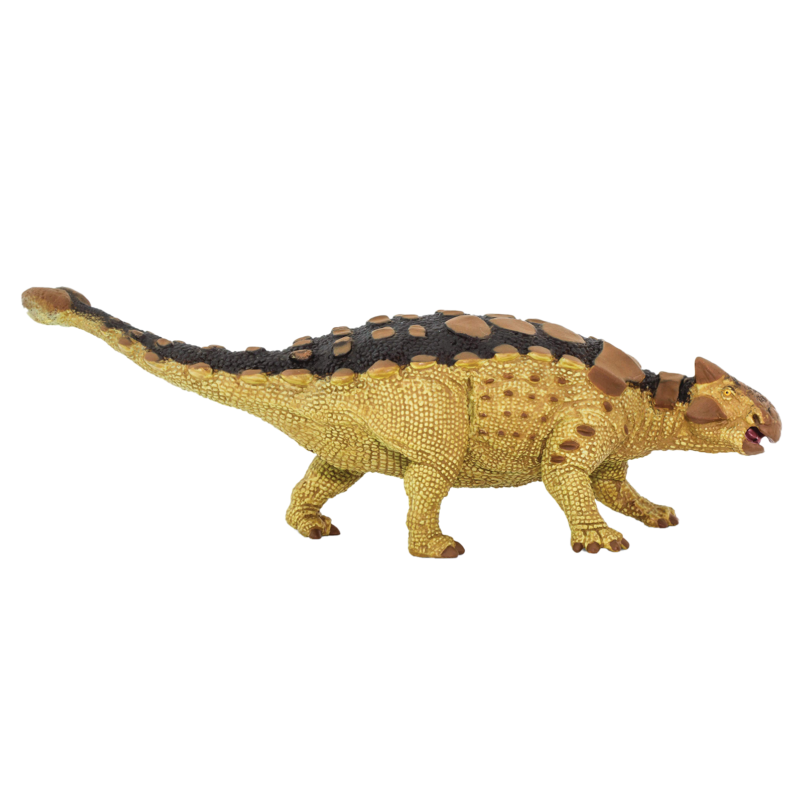 Ankylosaurus