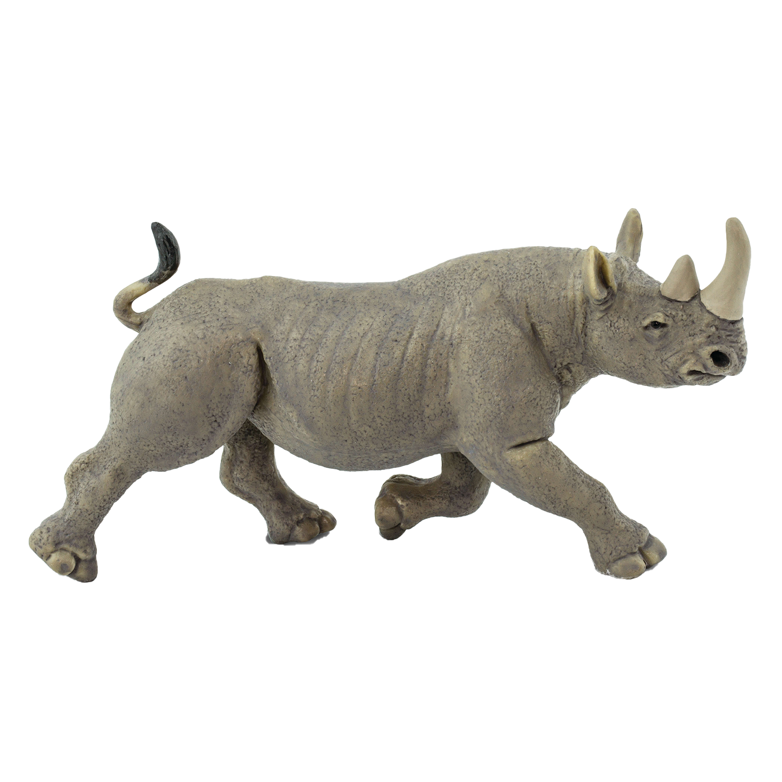 Black Rhino