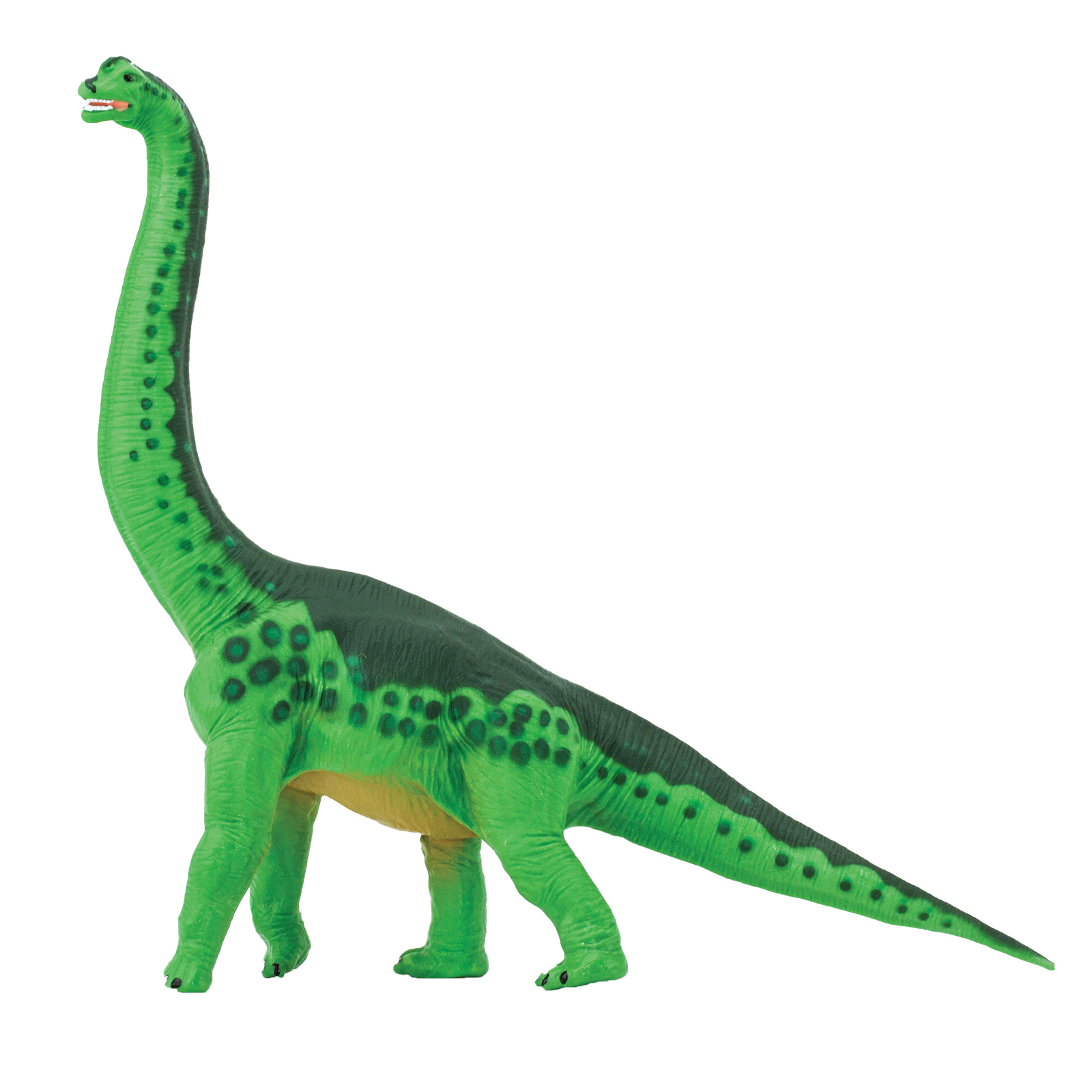 Brachiosaurus