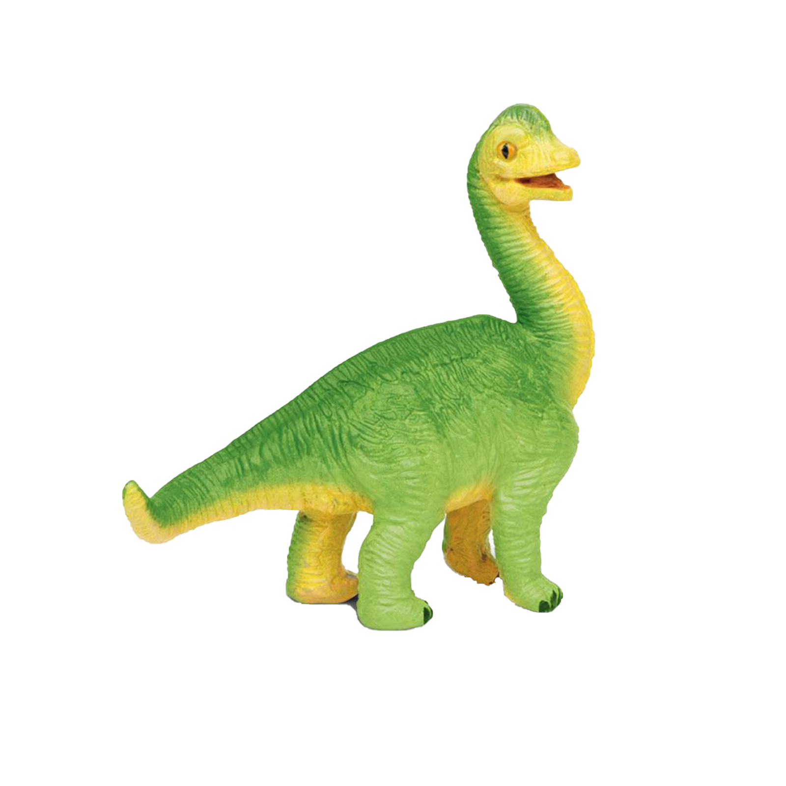 Brachiosaurus Baby