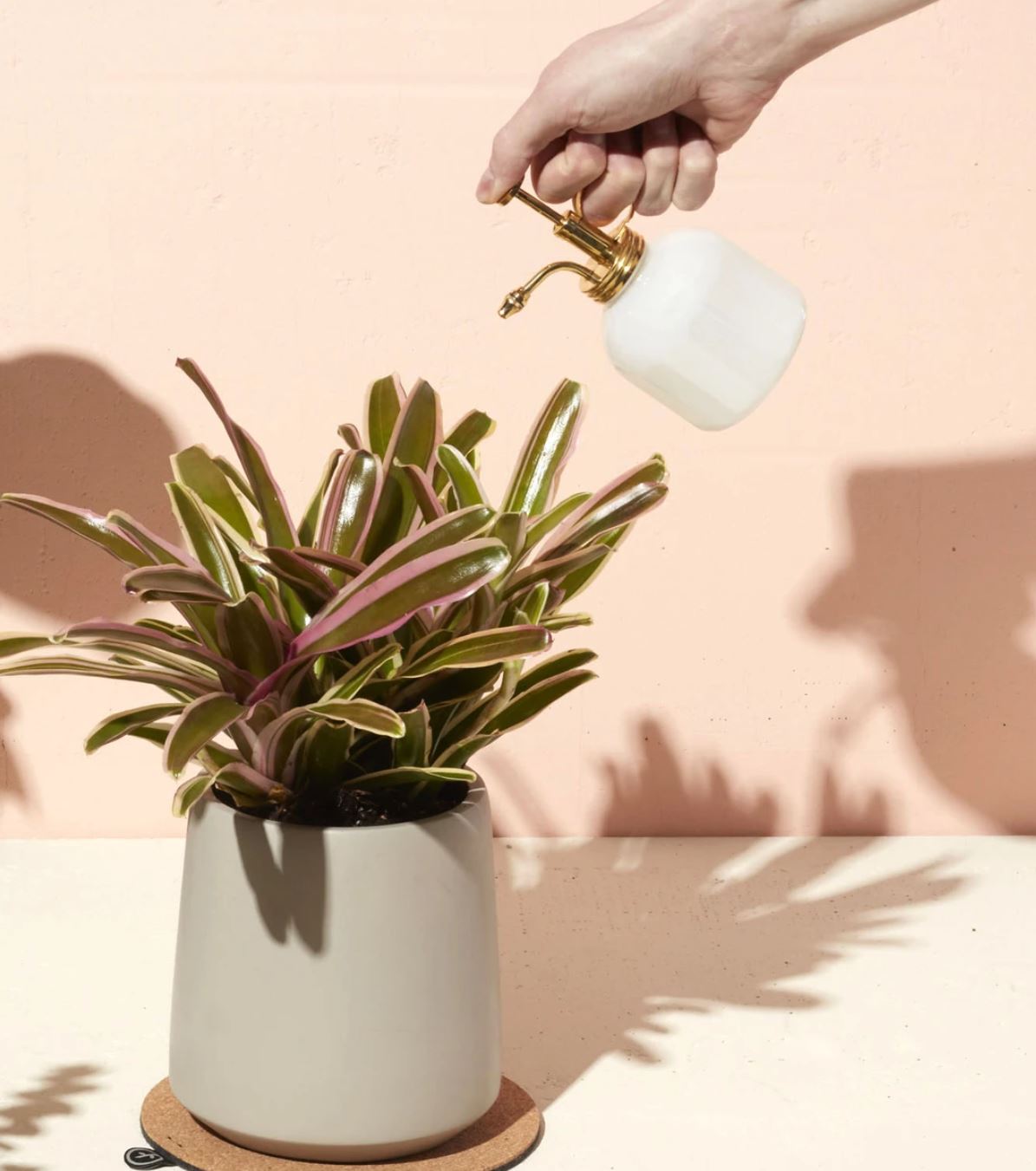 White Glass & Brass Plant Mister
