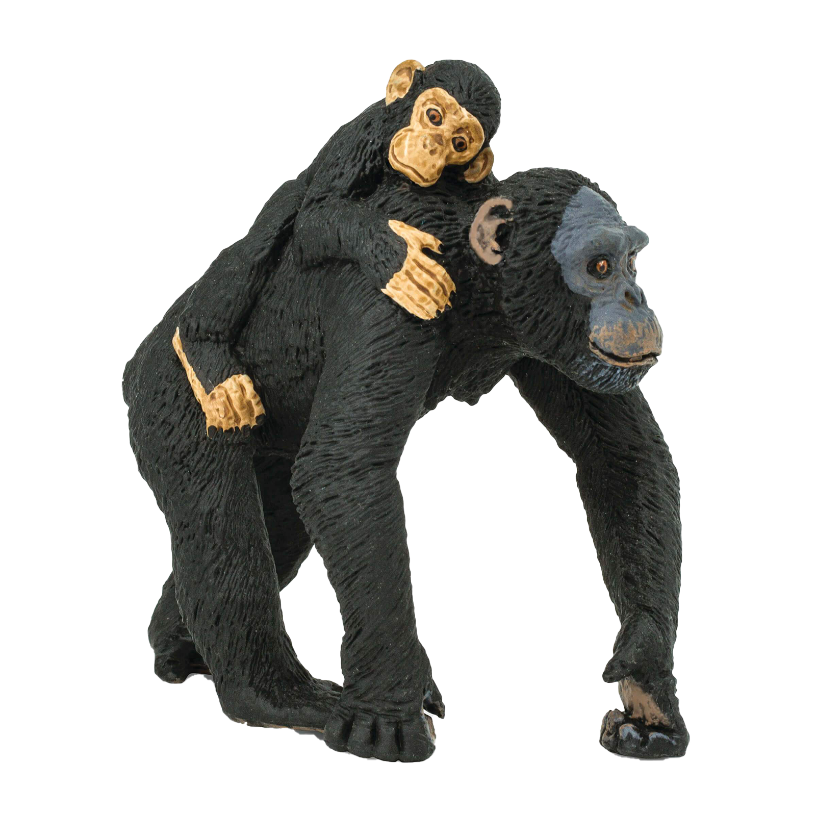 Chimpanzee With Baby