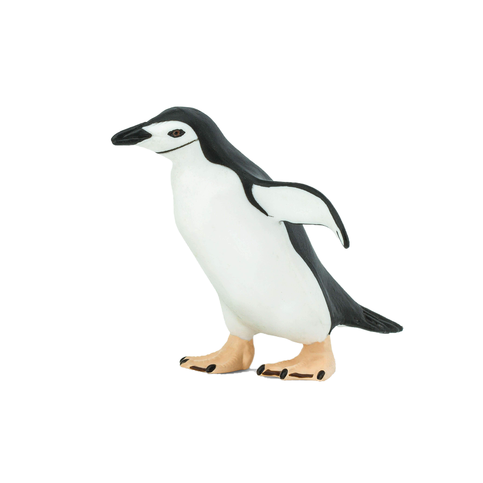 Chinstrap Penguin