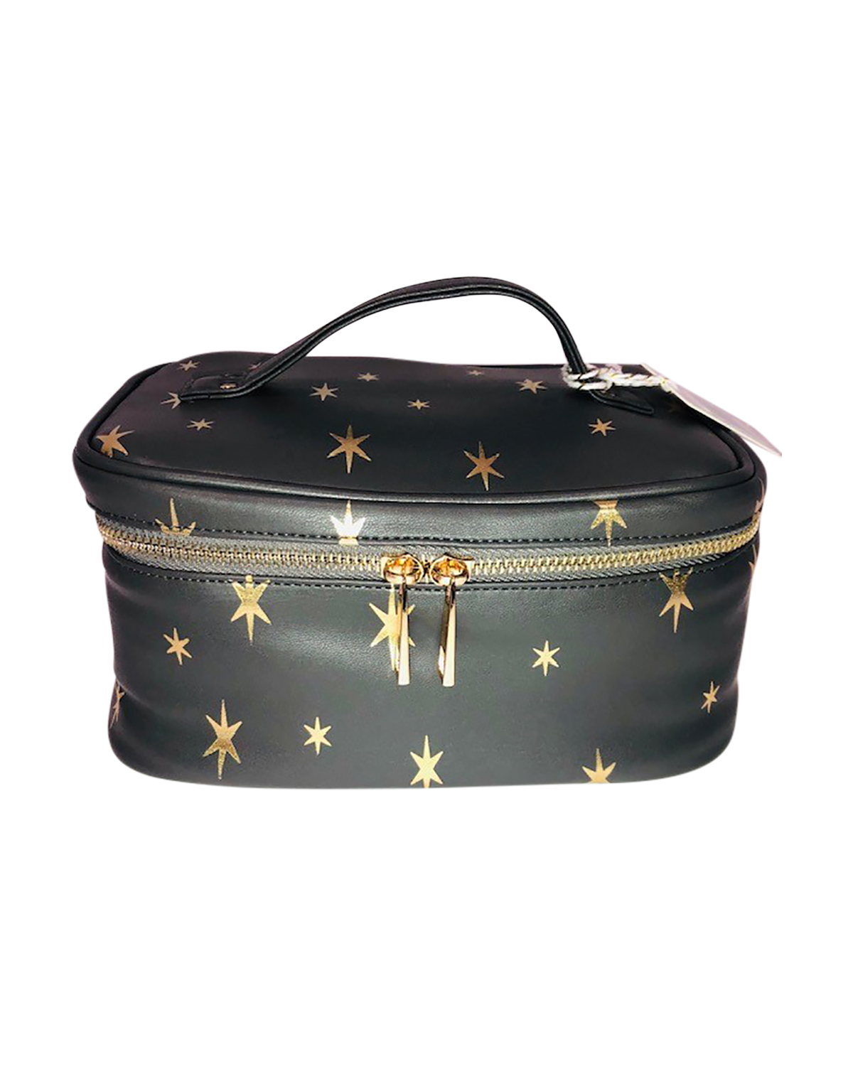Luxe Large Train Case