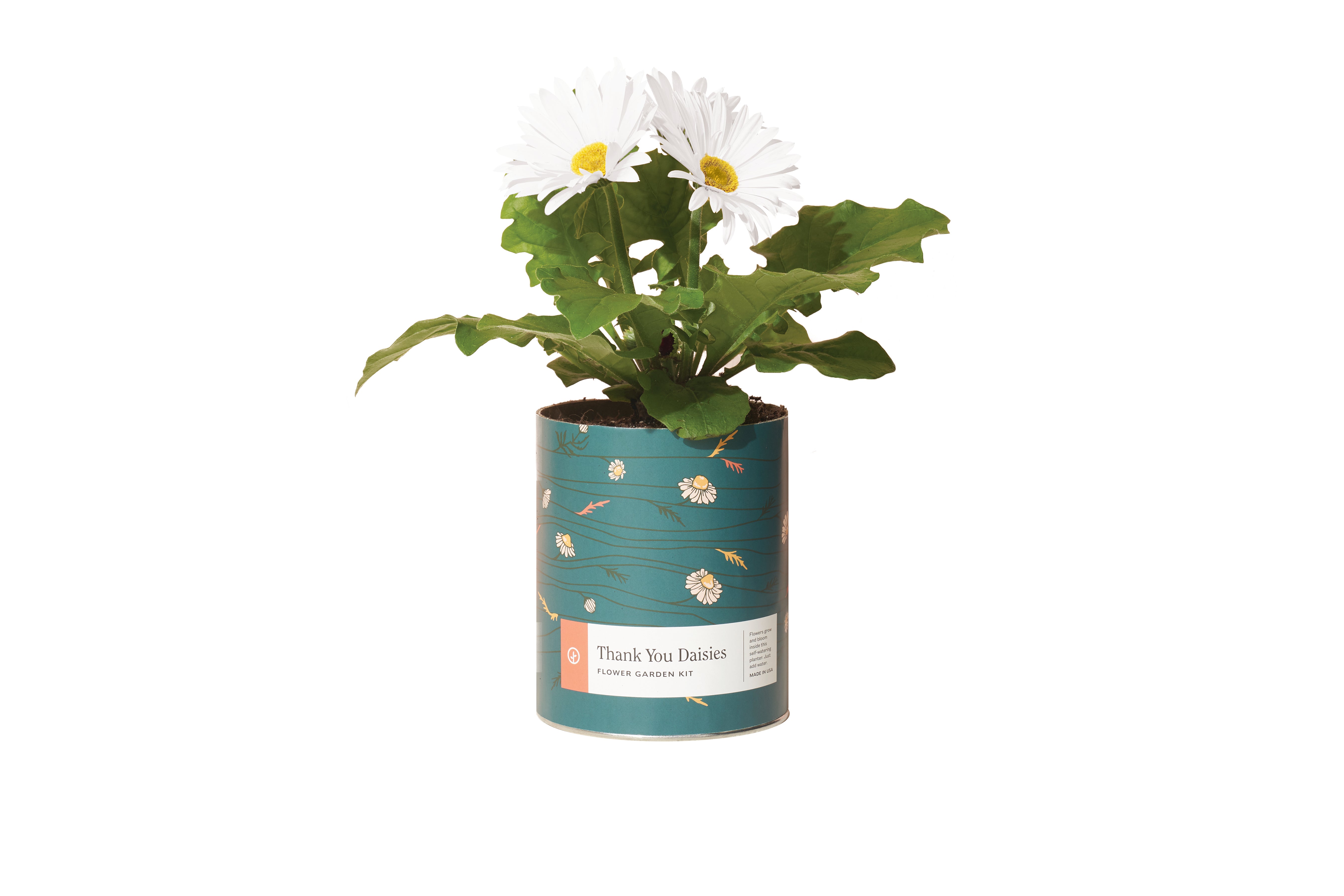 Waxed Planter