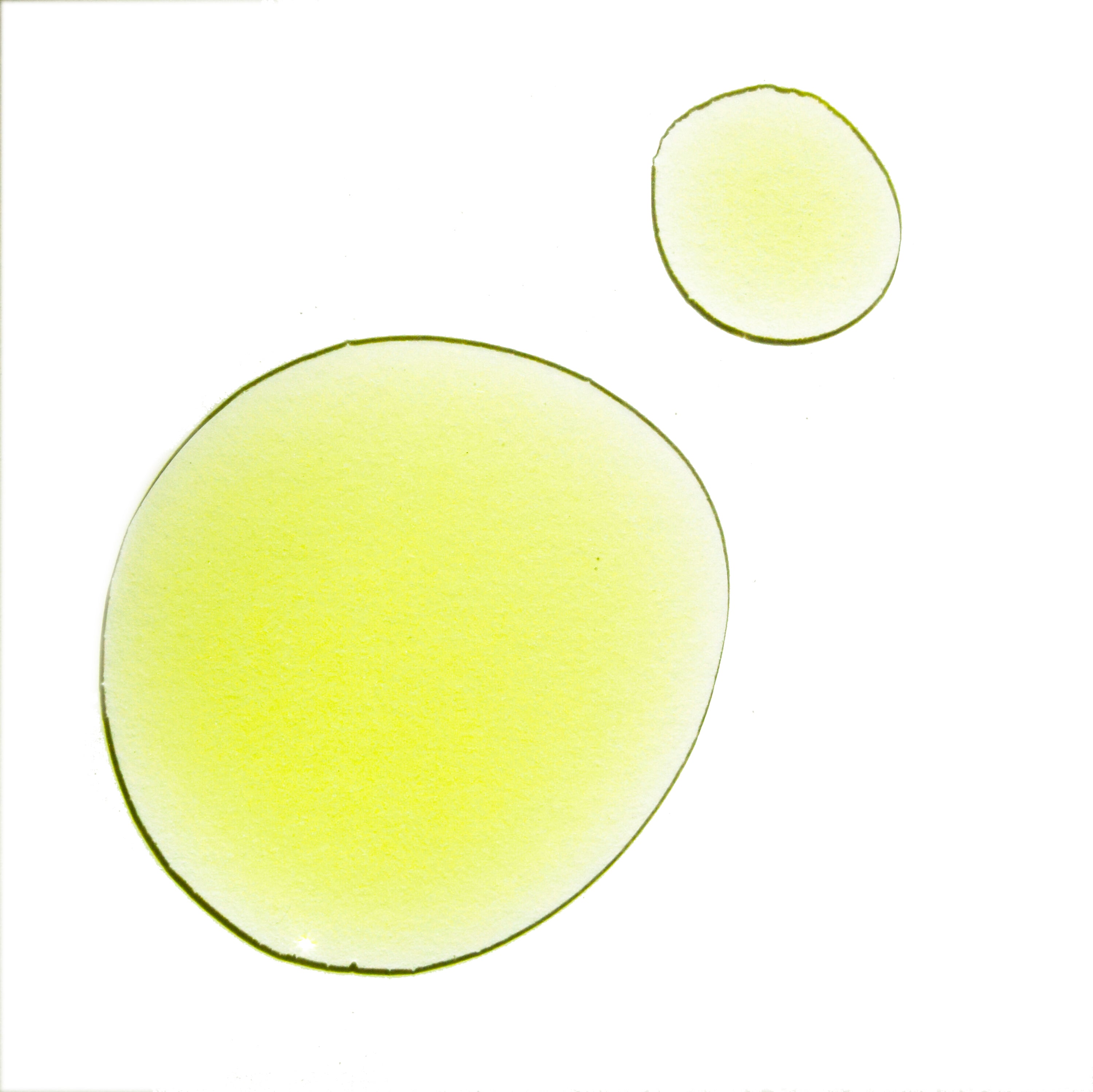 UMA Pure Calm Wellness Oil