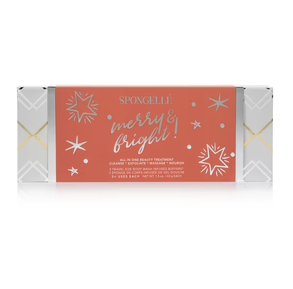 Holiday Ornament Boxed Gift Set