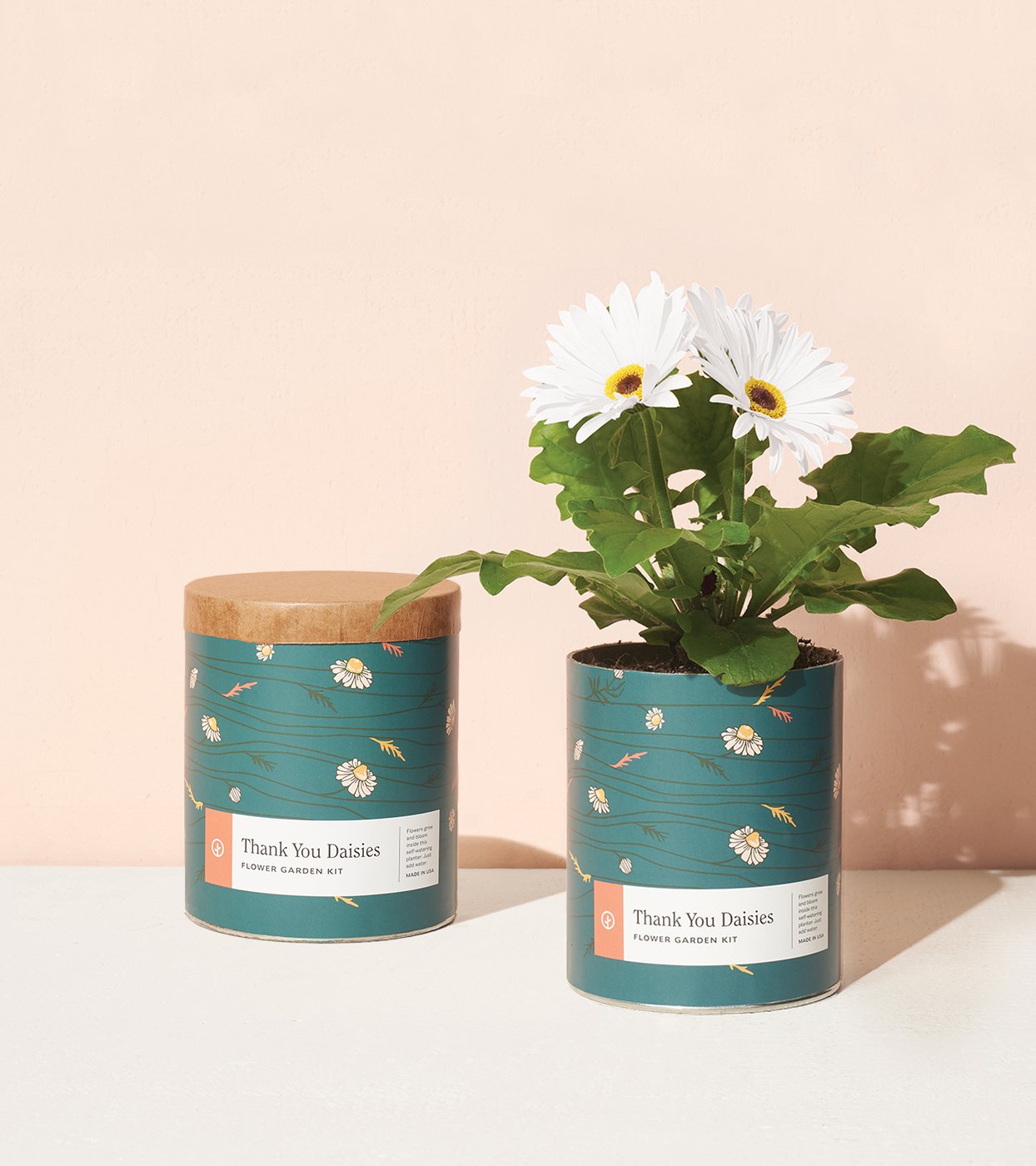 Waxed Planter