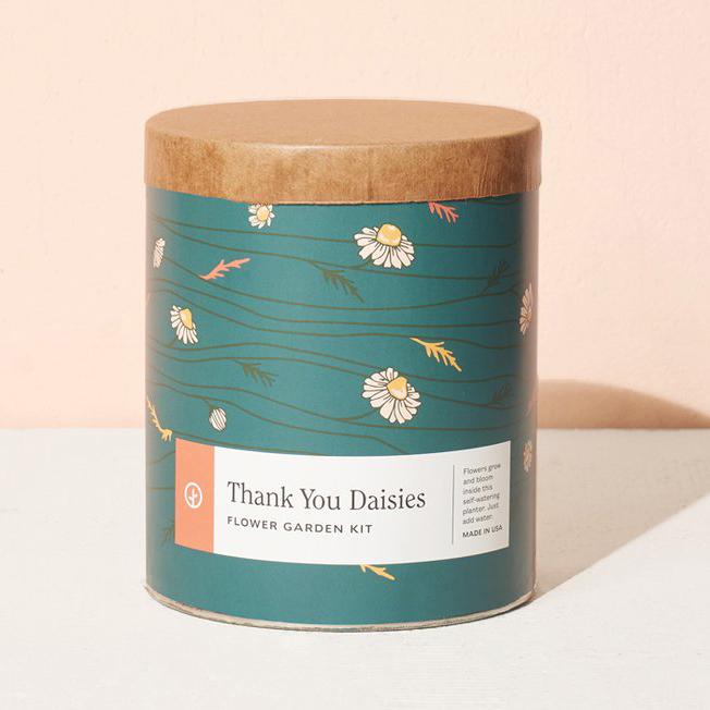 Waxed Planter