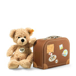 Teddy Bear in Suitcase
