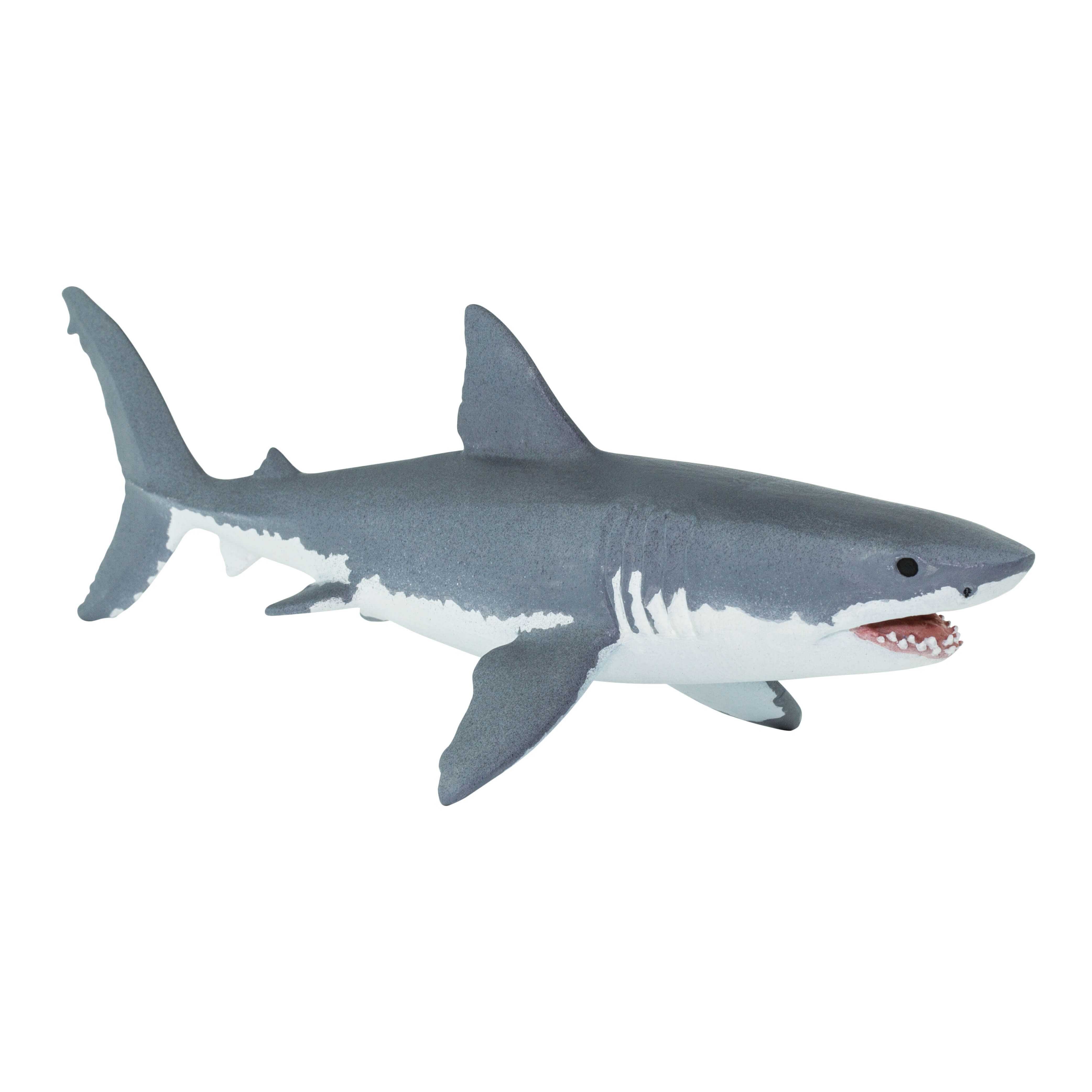 Great White Shark