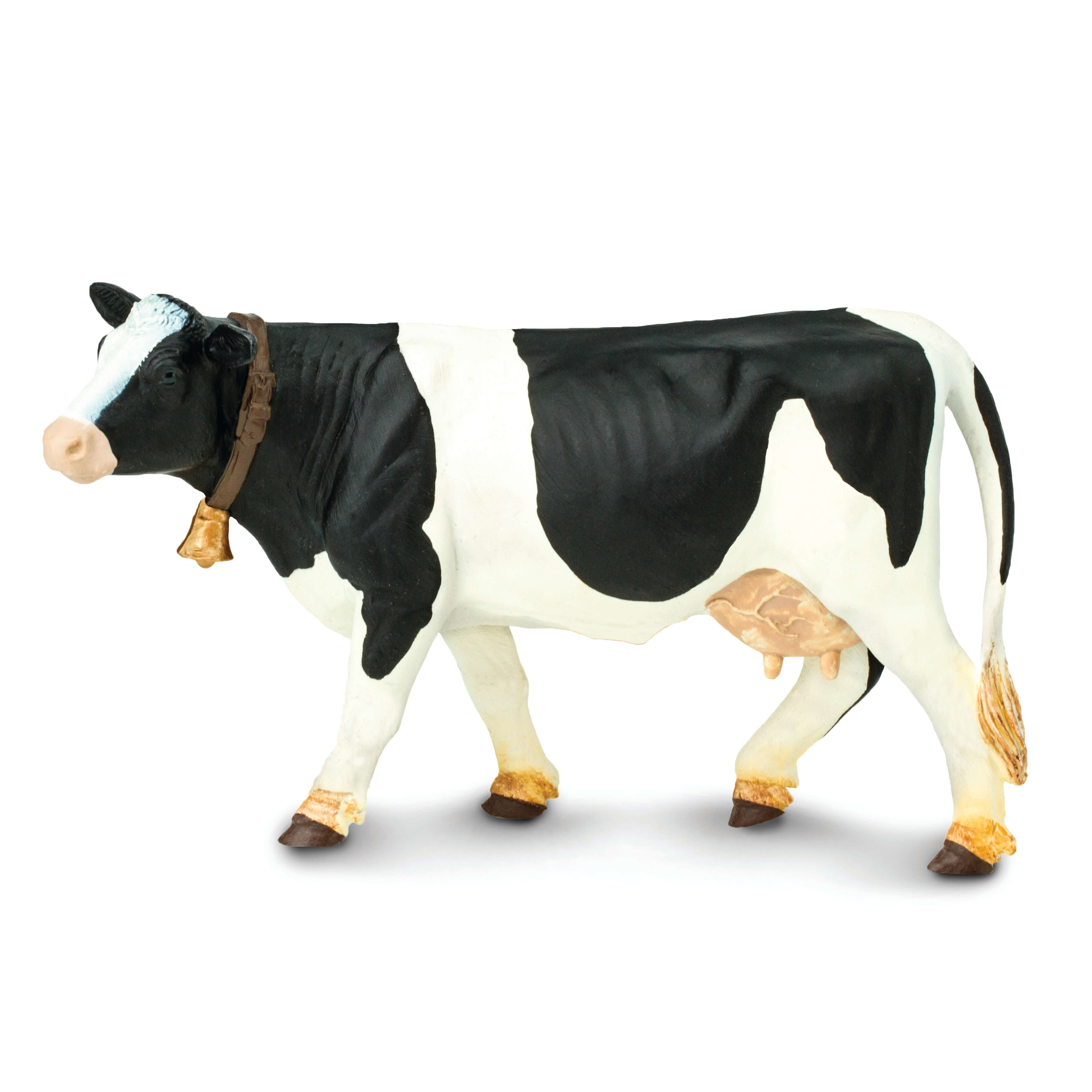 Holstein Cow