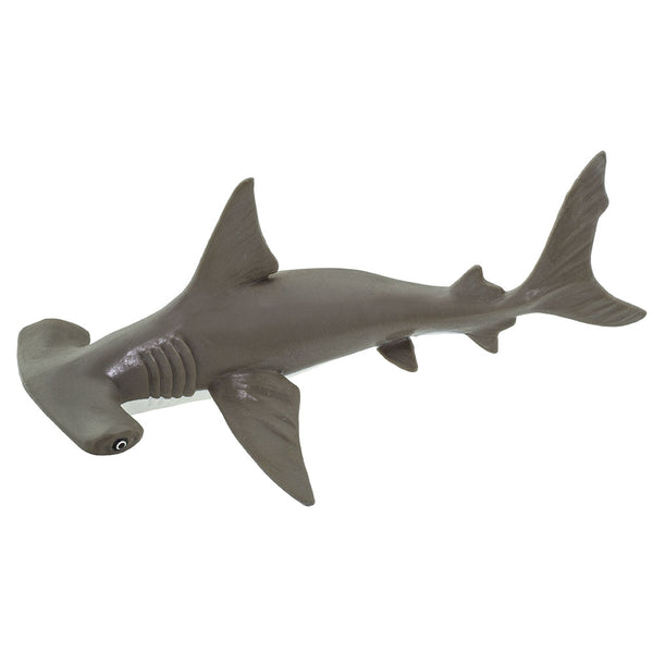 Hammer Head Shark 廃盤2枚 Hammerhead Shark Baby