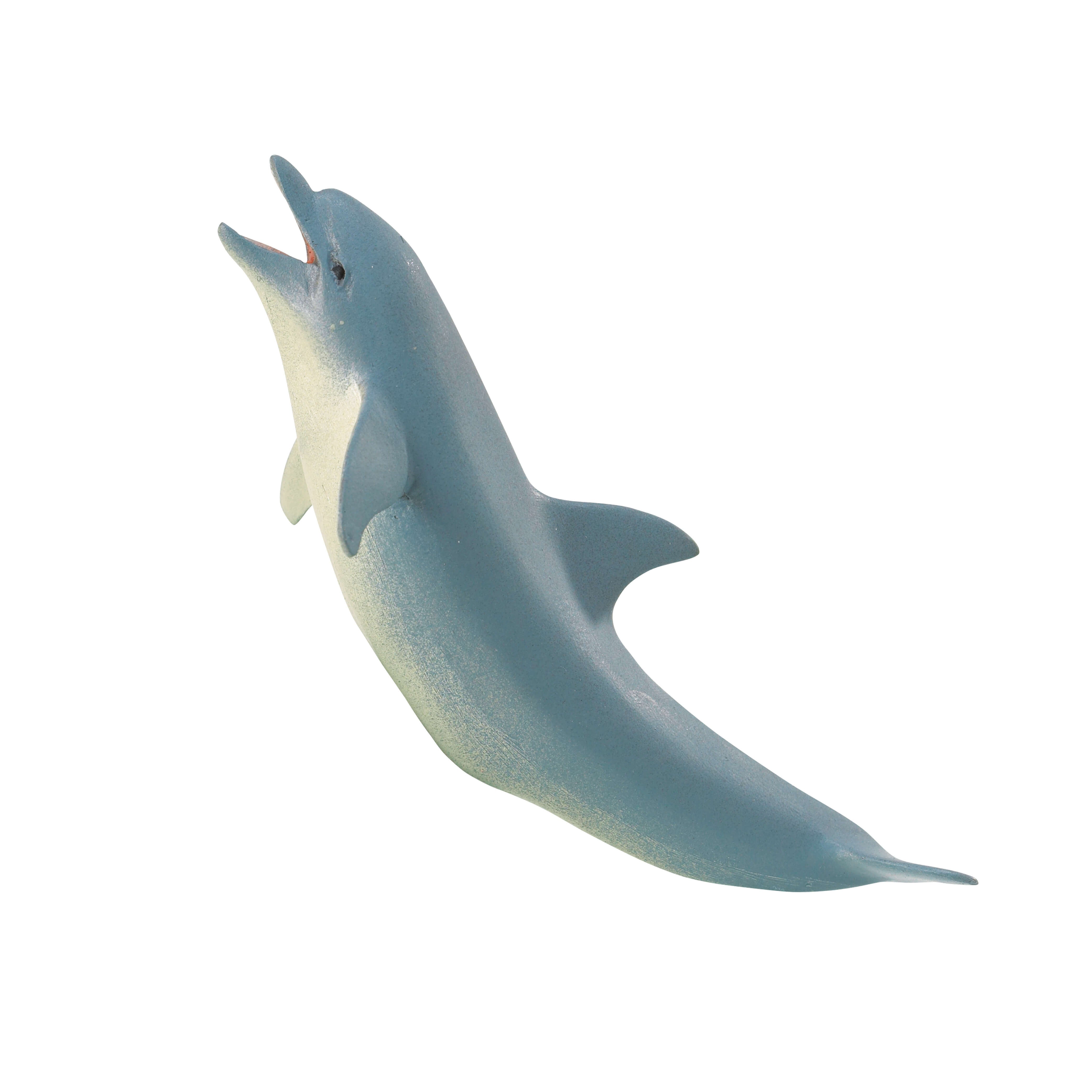 Dolphin