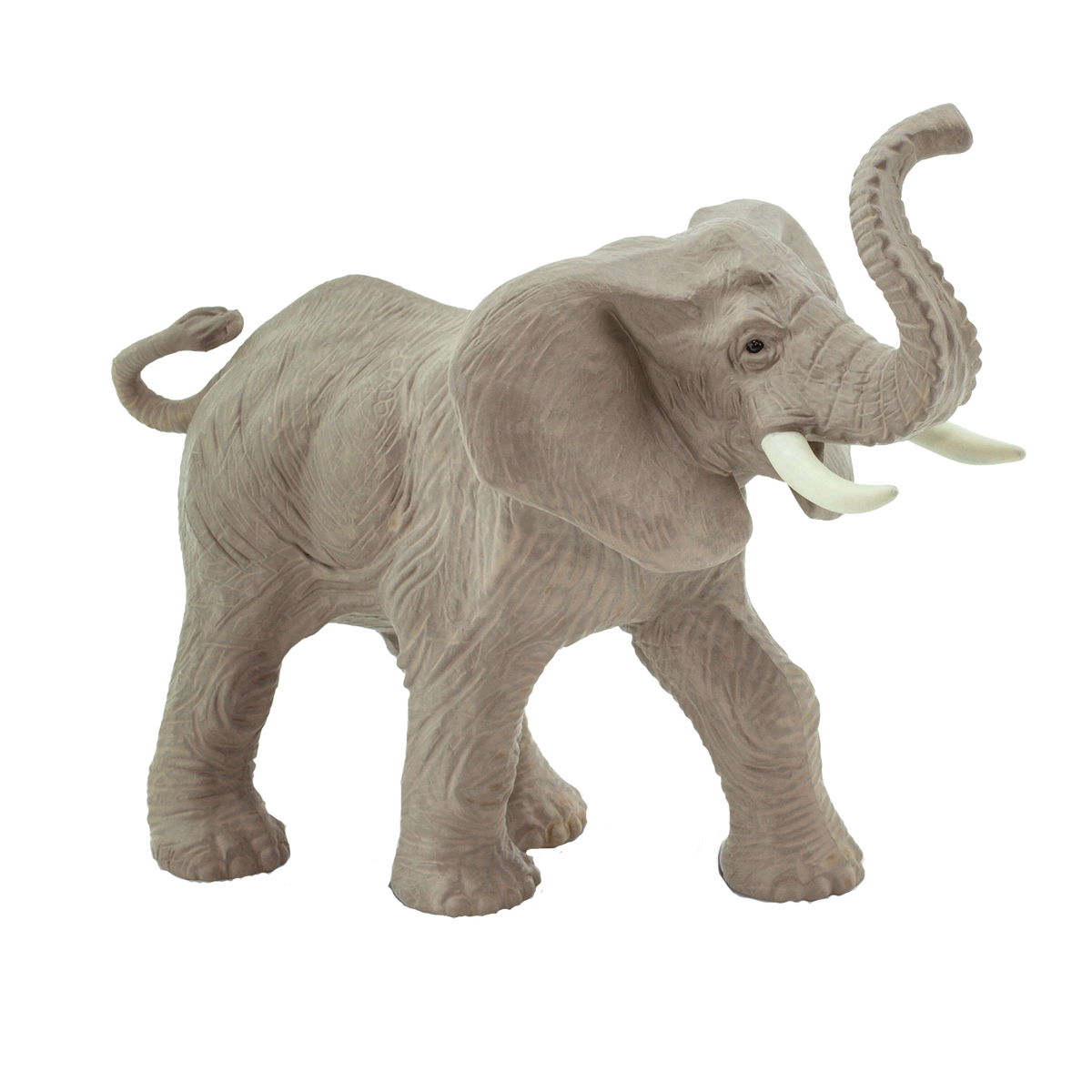 African Elephant