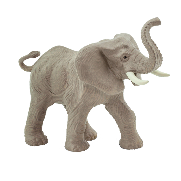 African Elephant