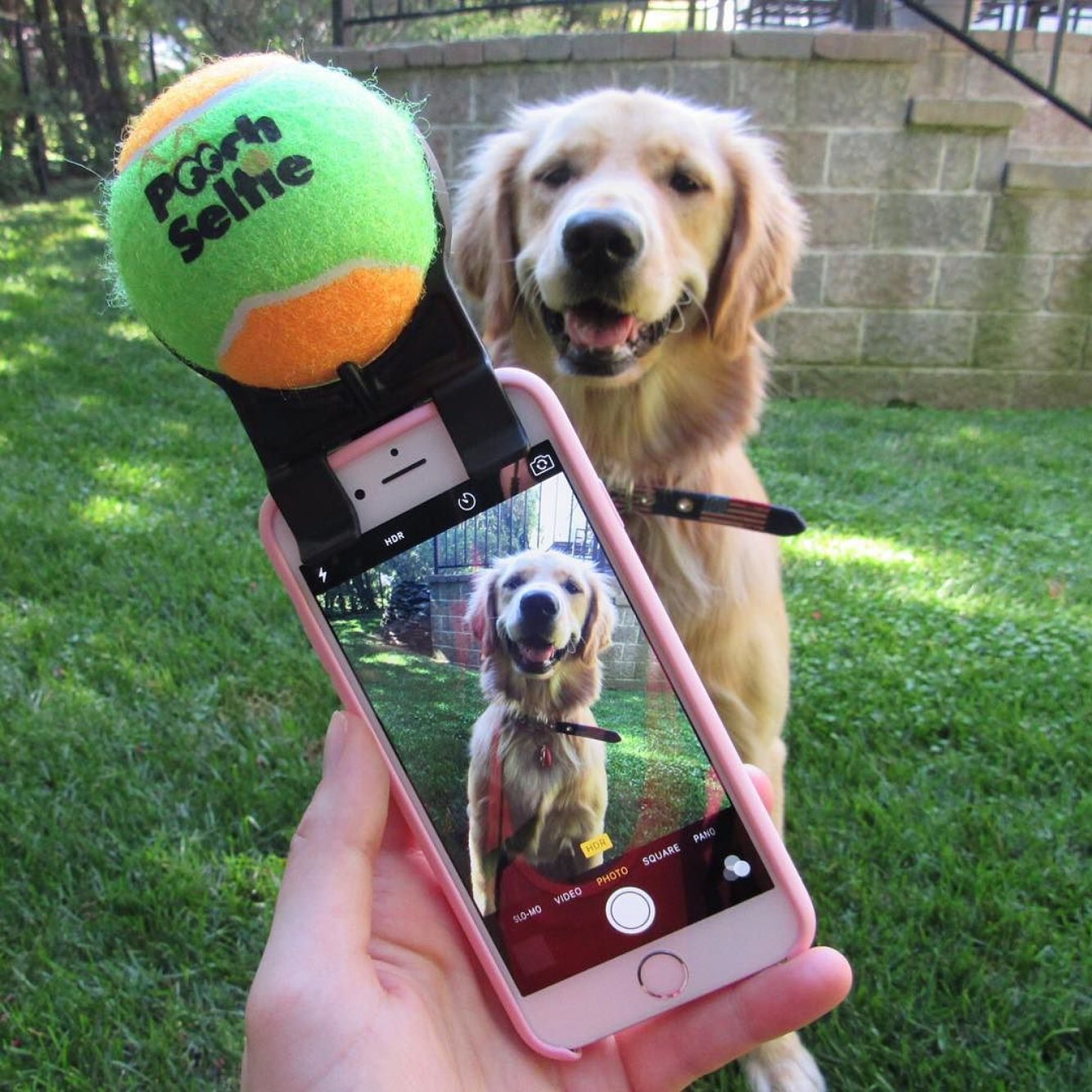 Pooch Selfie Smartphone Accessory