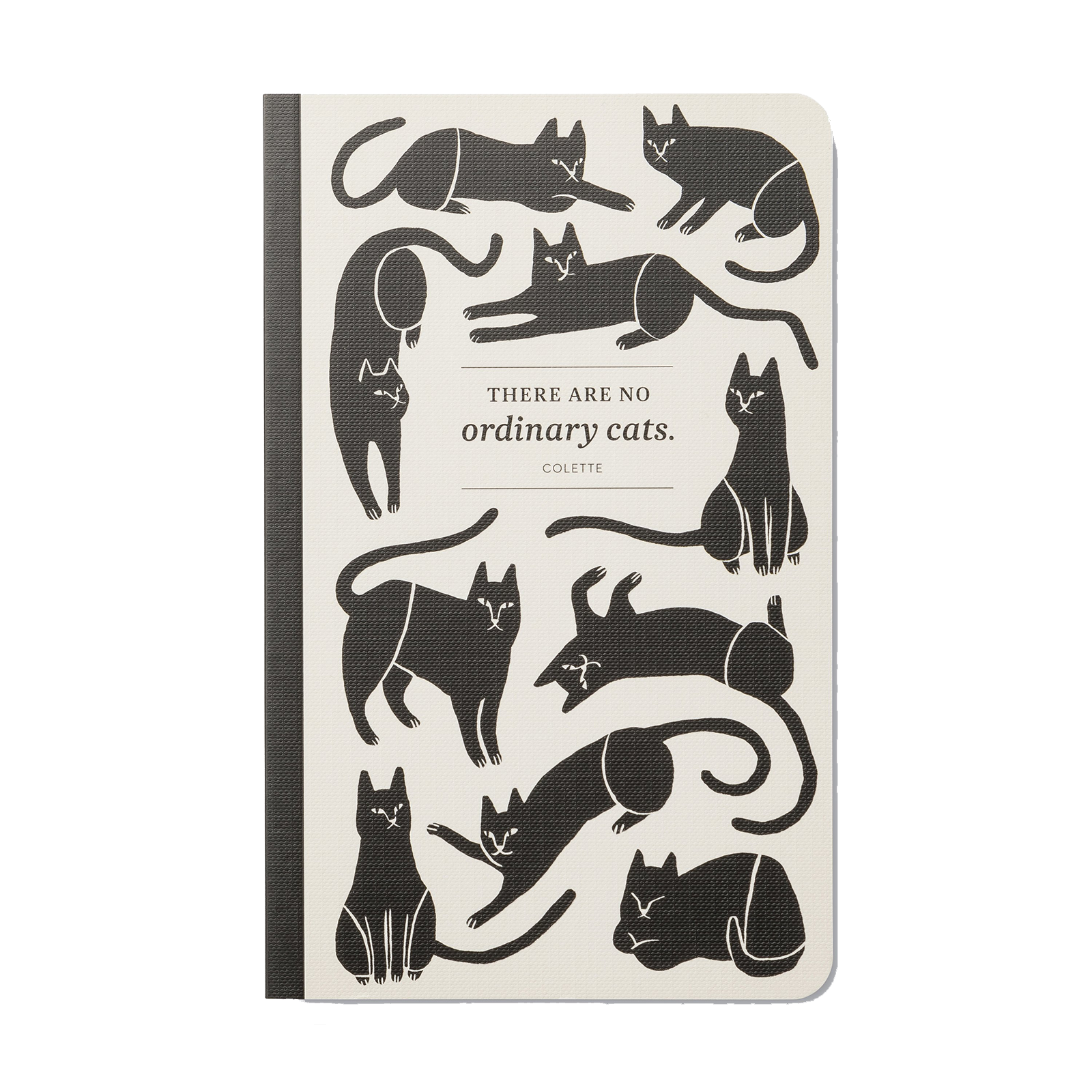 "There Are No Ordinary Cats" Journal