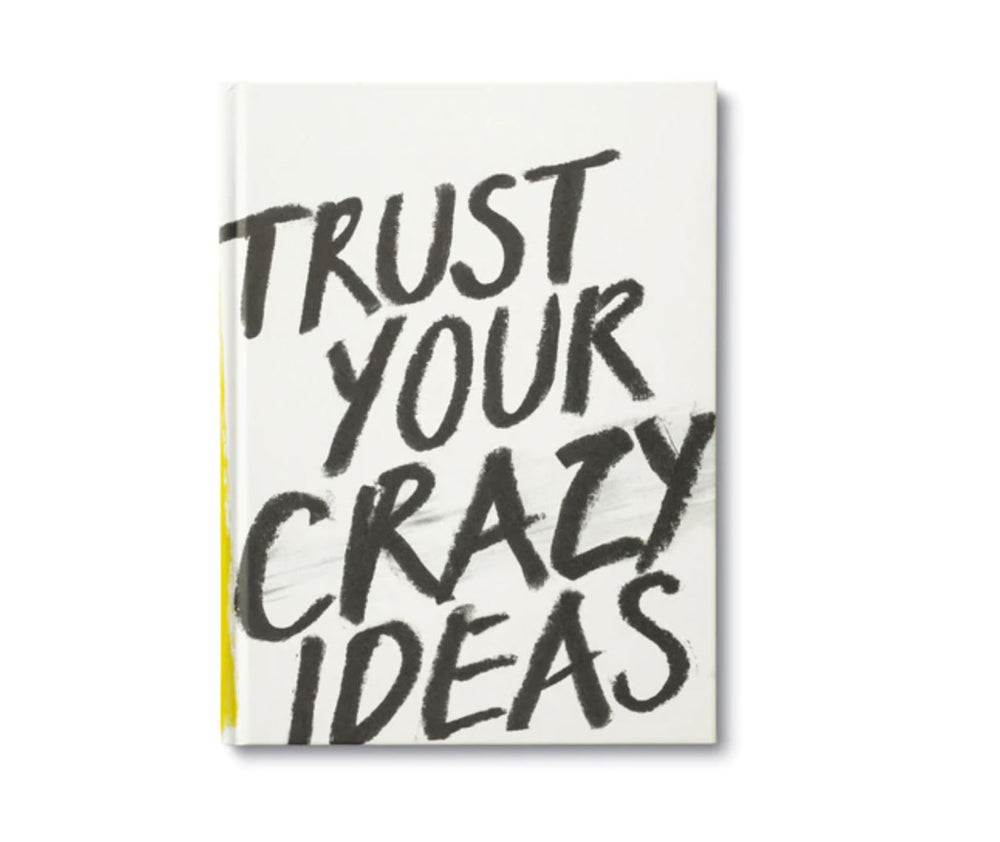 Trust Your Crazy Ideas Book